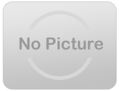 Inflatables, Bounce Houses, Obstacles, Combos